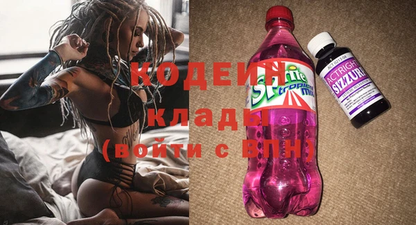 соль ск Нея